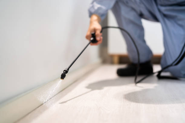 Licensed Rodent Control service in Old Saybrook Center, CT - Nex Pest Control