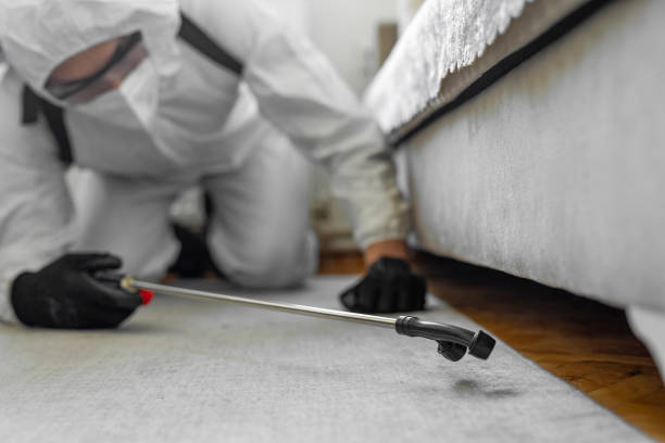 Professional Rodent Control technician working in Old Saybrook Center, CT