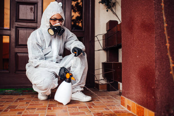 Reliable Rodent Control contractor in Old Saybrook Center, CT by Nex Pest Control